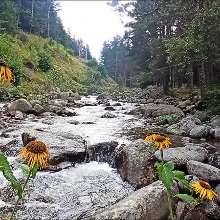 Bella Casa Apartament *