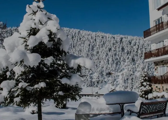 Bella Casa Beli Iskar